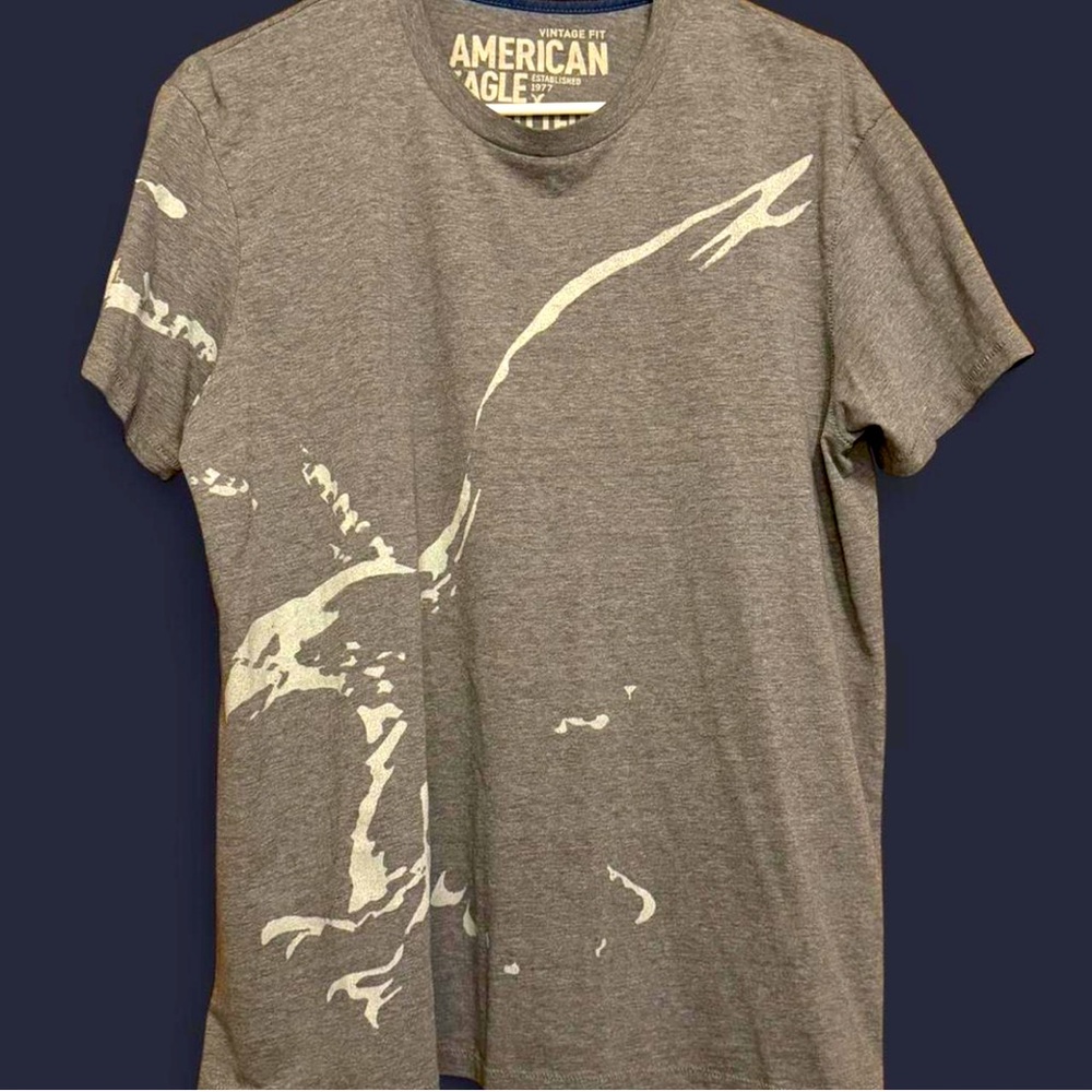 American Eagle Outfitters Gray Graphic T-Shirt